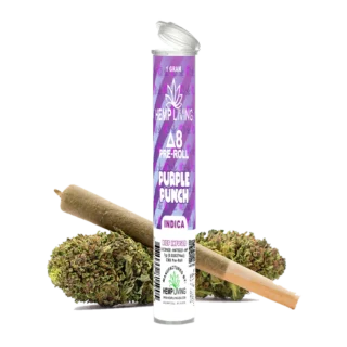 Hemp Living – Delta 8 Flower 1g Pre-Roll – Purple Punch High Potency Kief Infused