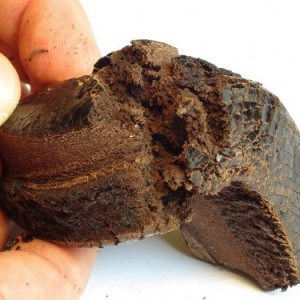 Buy Afghan Black Hash Online