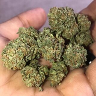 Buy Alien OG Online