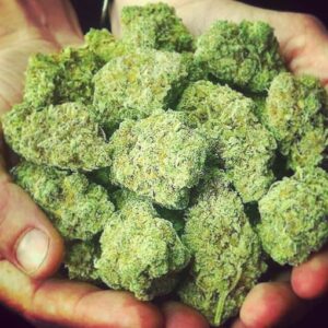Buy Blue Cheese Online