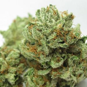 Buy master kush Bubba Online
