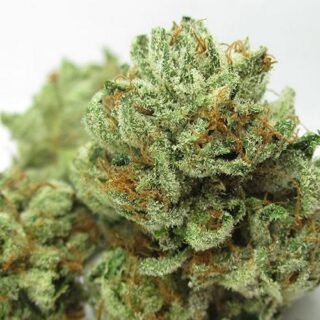 Buy Master kush Bubba Online