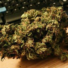 Buy Electric Kush Online