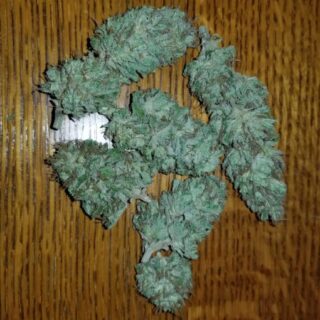 Buy G13 x Hash Plant Online