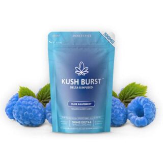 Buy Kush Burst Delta 8 THC Gummies EU – Blue Raspberry 500mg 10 Count