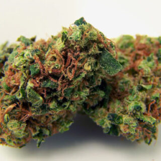 Buy NYC Diesel Strain: Sour Diesel X (Afghani X Hawaiian) Online