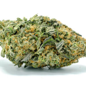 Buy northern lights strain Online
