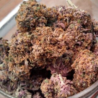 Buy Purple Kush Online
