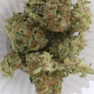 Buy Sensi Star kush Online