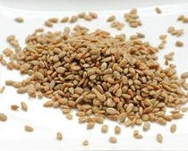 Sensible Seed Mix