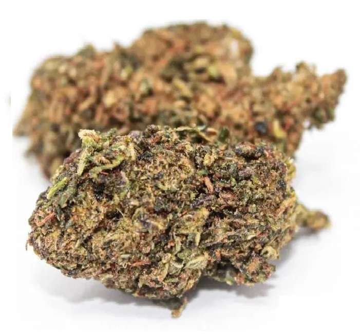 Buy Blueberry Delta 8 Flower