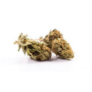 Buy Marijuana Strains EU