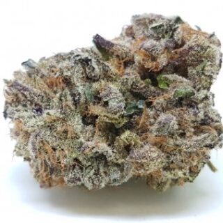Buy Purple Crack Strain Online