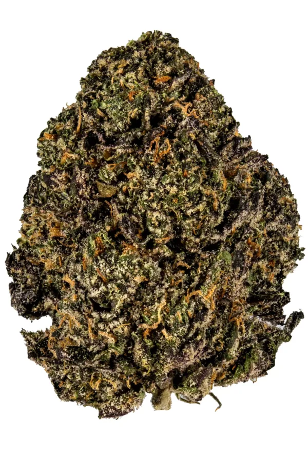 Gelato 33 - Image 2