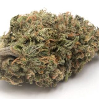 Buy Gelato #32 Online