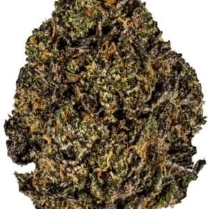 Gelato 33