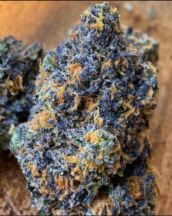 Gelato #33 Strain