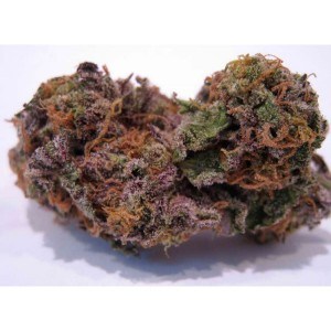 Buy Grand Daddy Purple Strain Online