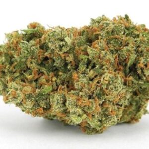 Buy Jack Herer Online