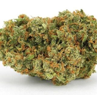 Buy Jack Herer Online