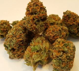 Buy Jedi Kush (Cali Connection) Online