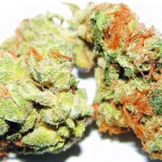 Buy Lemon Sour Diesel Kush Online