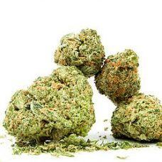 Buy Lemon Kush Seeds Online