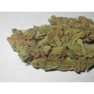 Buy Liberty Haze Online