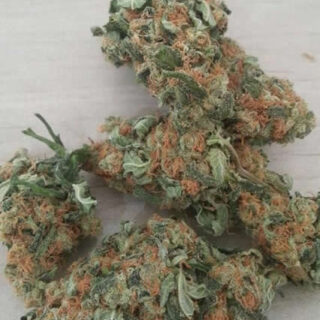 Buy Orange Kush Online