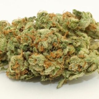 Buy Sour Diesel (DNA Genetics) Online