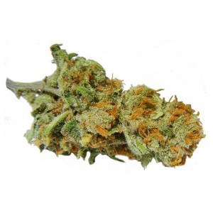 Buy Super Lemon Haze Online