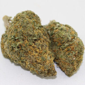 Buy UK Cheese marijuana online