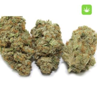 Buy White OG Strain: OG Kush X White Widow Online