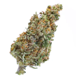 Buy Hybrid Marijuana Strains
