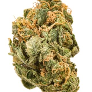 Buy Sativa Marijuana Strains