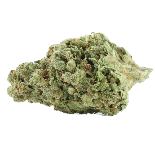 Green Dragon Marijuana Strain